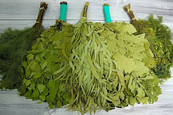 Веники для русской бани: оптовые поставки от «ВеникОпт»