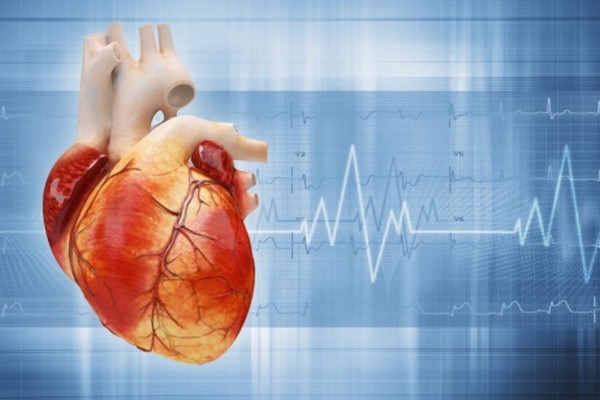 Аритмия и ночные смены: Как работа по ночам увеличивает риск фибрилляции предсердий