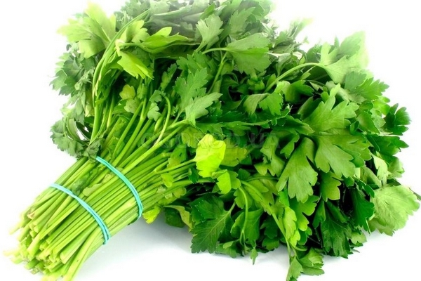 Петрушка на туалетной бумаге: гениальный трюк, который избавит вас от прореживания