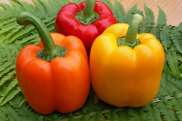 Секрет богатого урожая: 5 сортов перца, которые никогда не подводят дачников