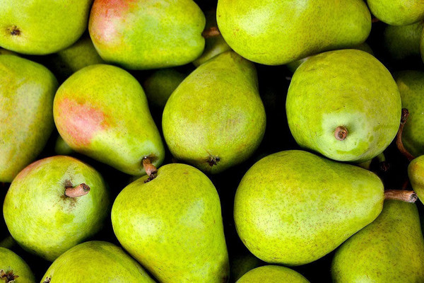 Польза груш для поджелудочной железы и почек: мнение медиков