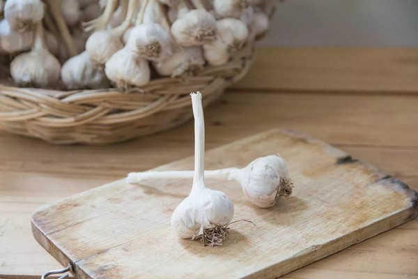 Как хранить чеснок до нового урожая: секретный метод без песка и опилок