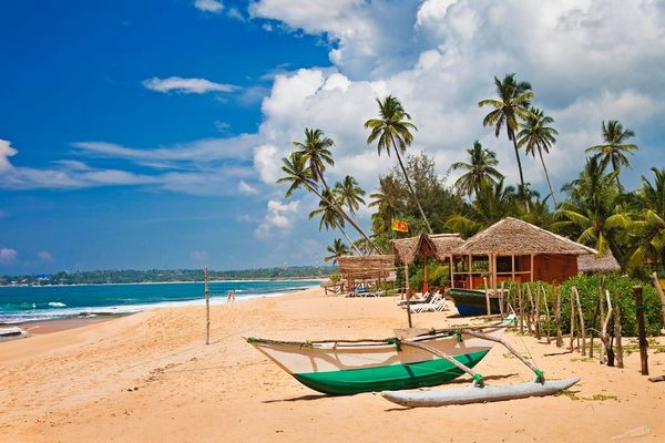 Райская Шри-Ланка: гид по выживанию и эк...