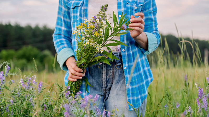 Эффективная защита от цветочной пыльцы: современные стандарты борьбы с аллергией