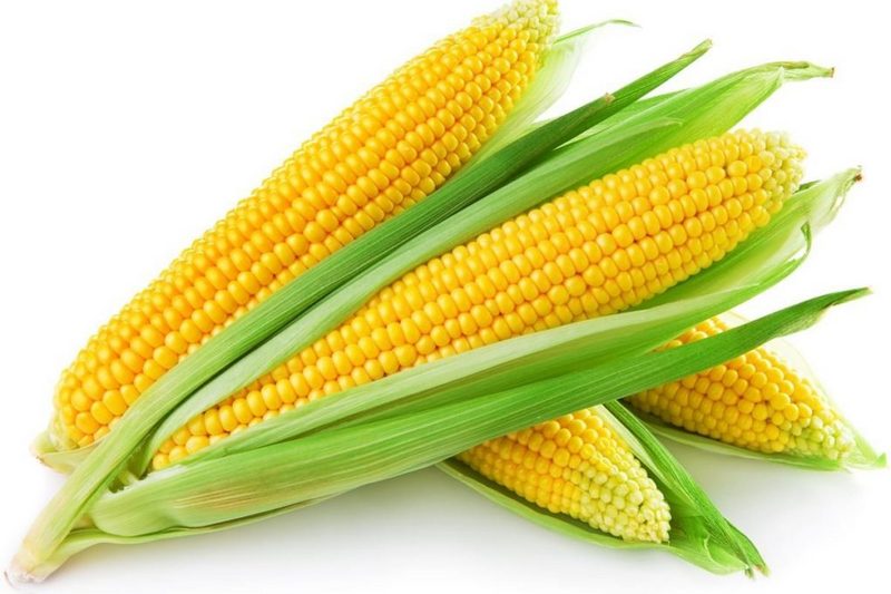 Как заморозить кукурузу в початках