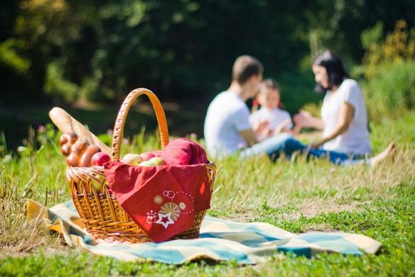 Пикник в парке: советы и рекомендации