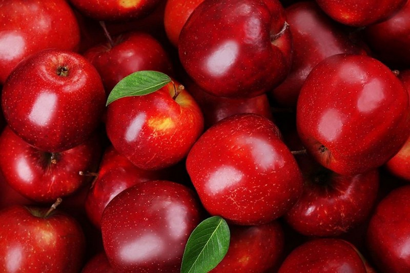 Яблочное изобилие: как сохранить витамины на зиму