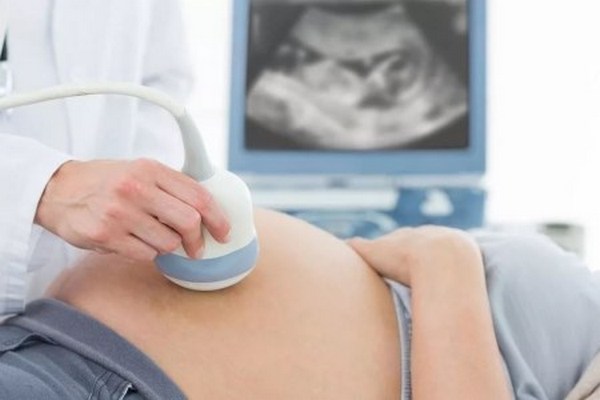 УЗИ при беременности: особенности исследований на разных сроках