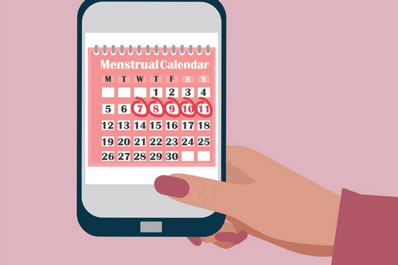 Календарь месячных: как рассчитать менструальный цикл
