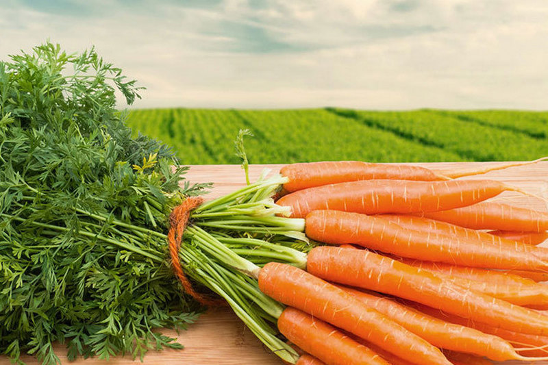 Чтобы быстрым быть и ловким, нужно много есть морковки