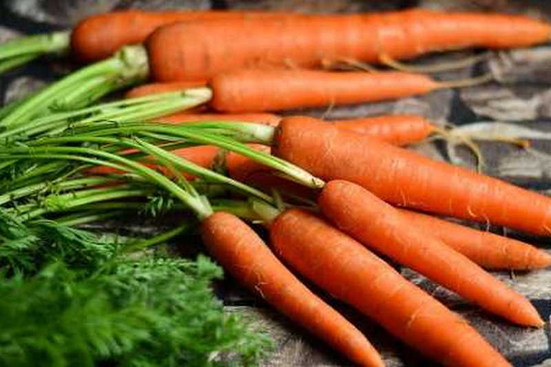 В чем большое преимущество моркови?