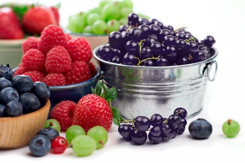 Настой плодов ягод при конъюнктивите