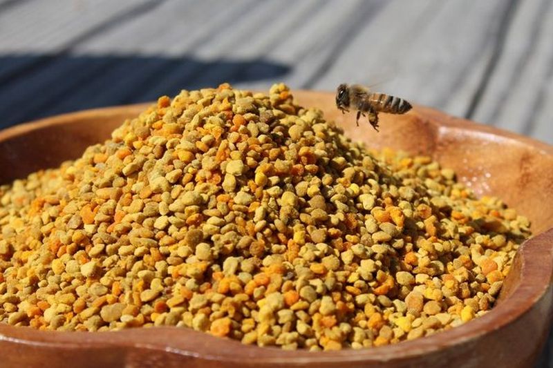 Пыльца пчелиная в лечении женских заболеваний