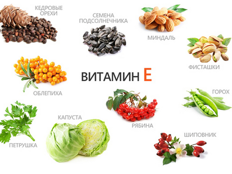 Значения витамина Е для организма человека