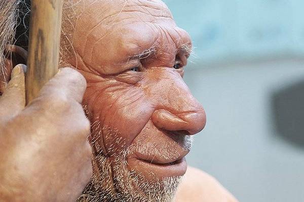 Ученые разгадали одну из загадок неандертальцев