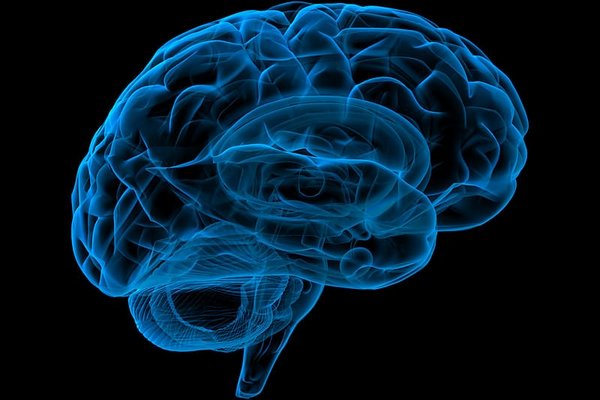 Ученые выяснили, что наше сознание существует отдельно от мозга