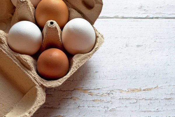 Может ли употребление яиц улучшить функции мозга — исследование