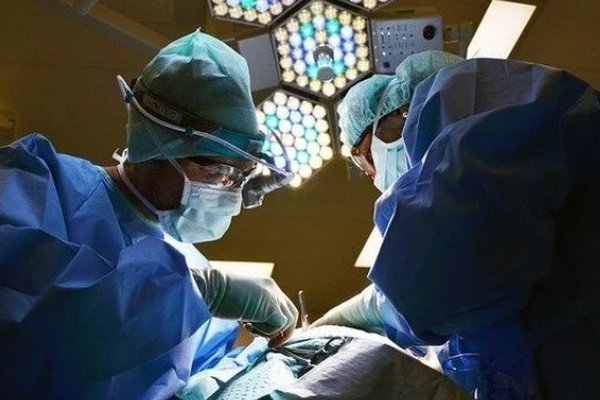 Революция в хирургии: пересадка нервов восстановила подвижность рук у пациента с параличом
