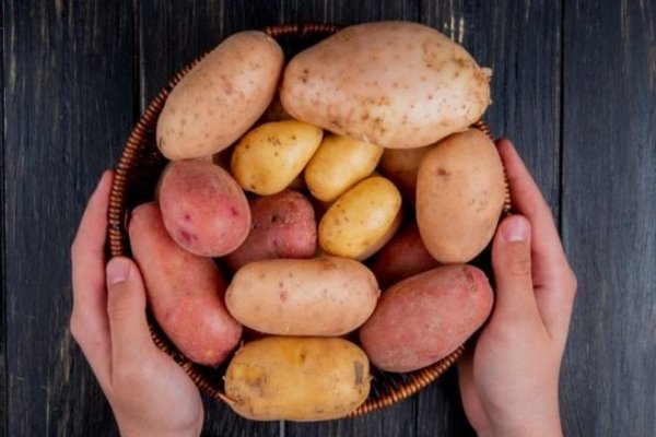 Для многих — это будет неожиданностью: медики назвали картофель, который нельзя есть