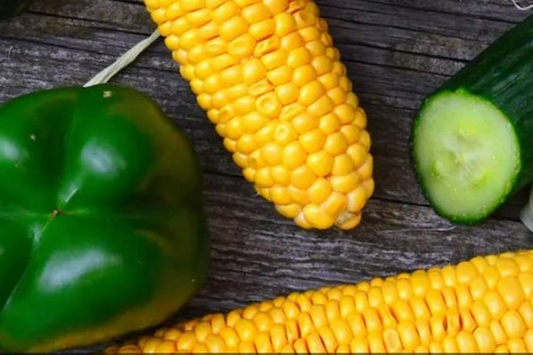Какие овощи сажать в июле: поспешите, чтобы иметь хороший урожай