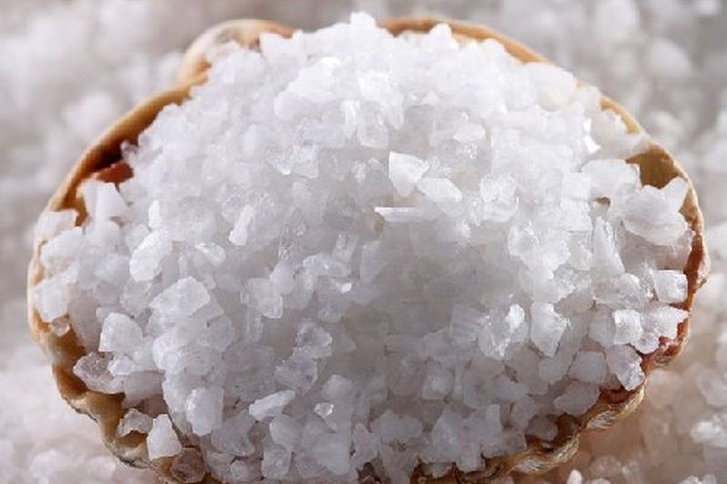 Физиологическое значение солей кальция