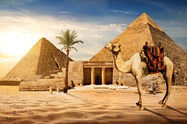 Почему стоит поехать в Египет